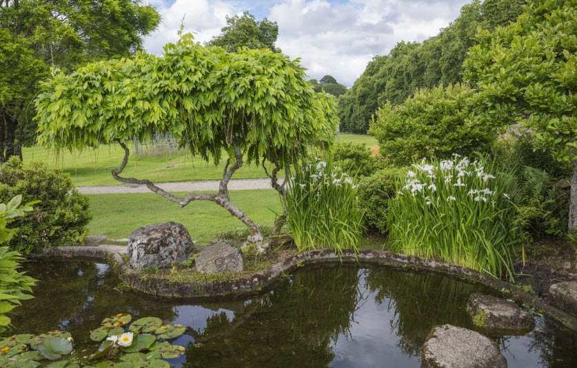 National Trust - Antony, United Kingdom